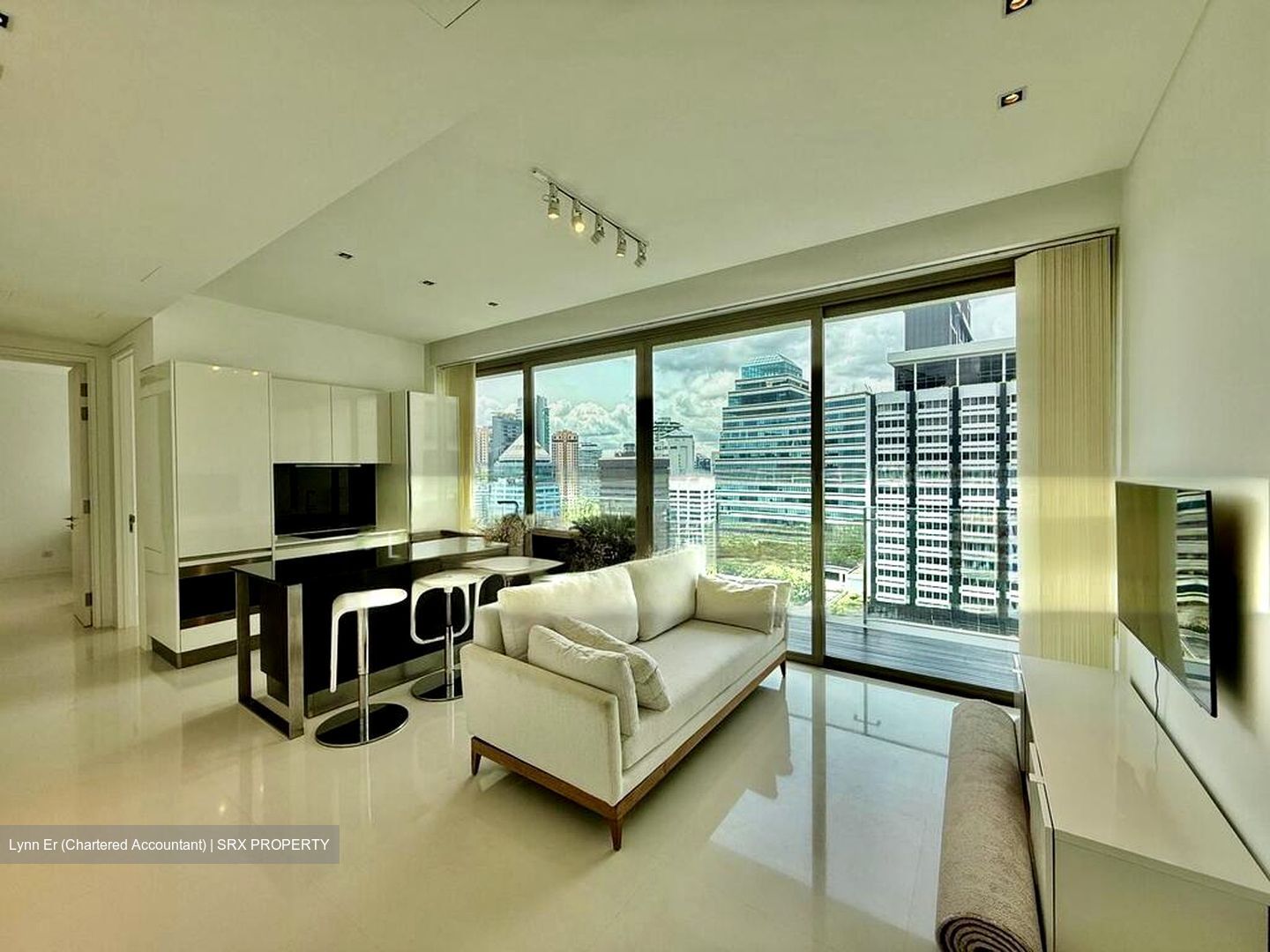 Scotts Square (D9), Apartment #502572031